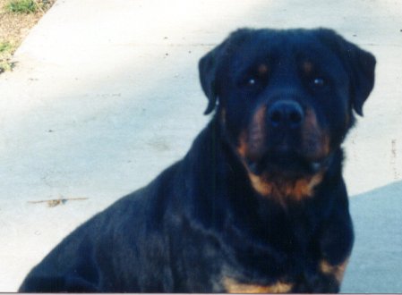 vadar1.jpg (21542 bytes)