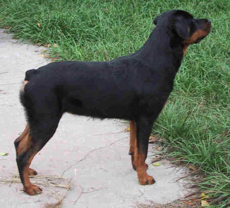 face 9 mth side 2.jpg (55342 bytes)