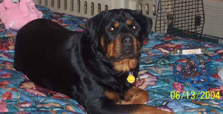 izzy2004a.jpg (169298 bytes)