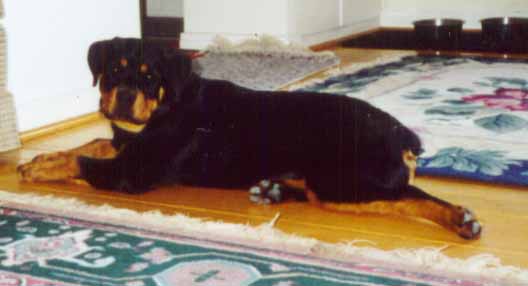 xangel_down.jpg (20522 bytes)